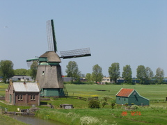 The Great Mill